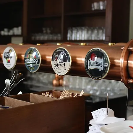 酒店 布拉格联合酒店 4*