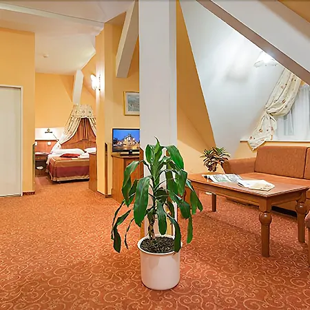 布拉格联合酒店 酒店 4*