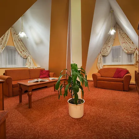 酒店 布拉格联合酒店 4*