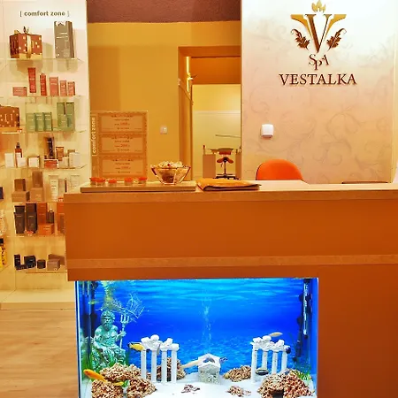 布拉格联合酒店 酒店 4*